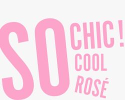 logo sochic aggiornato
